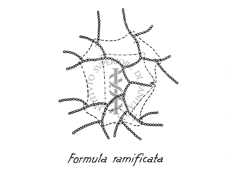 Formula ramificata