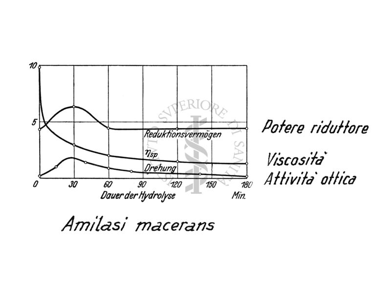 Amilasi macerans