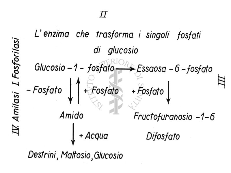 Tabella di trasformazione di fosfati