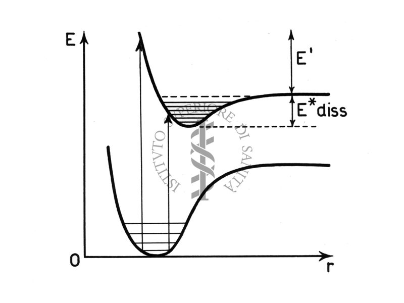 Curve di potenziale (schematiche)