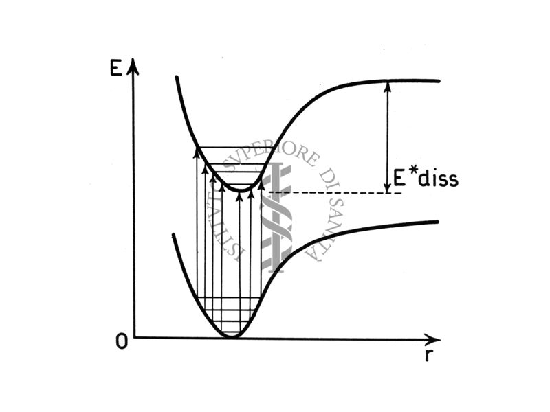 Curve di potenziale (schematiche)