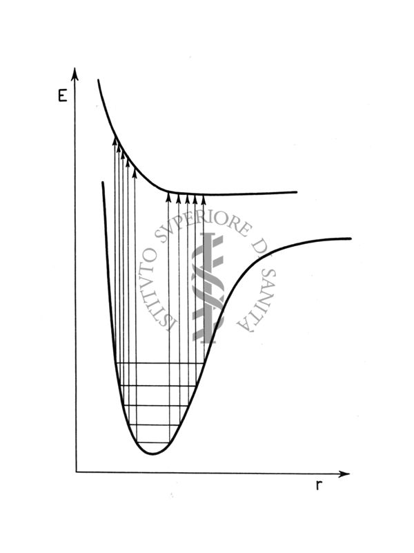 Curve di potenziale (schematiche)