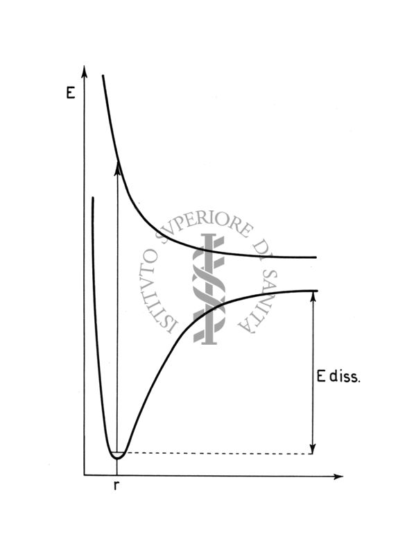 Curve di potenziale (schematiche)