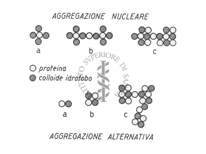 Diagramma riguardante l'aggregazione di particelle colloidali