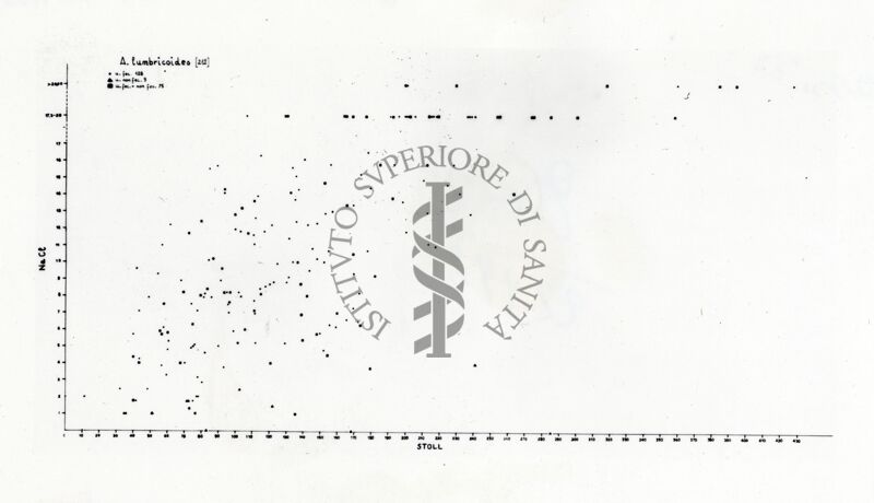 Grafico sul verme Ascaride (Ascaris lumbricoides)