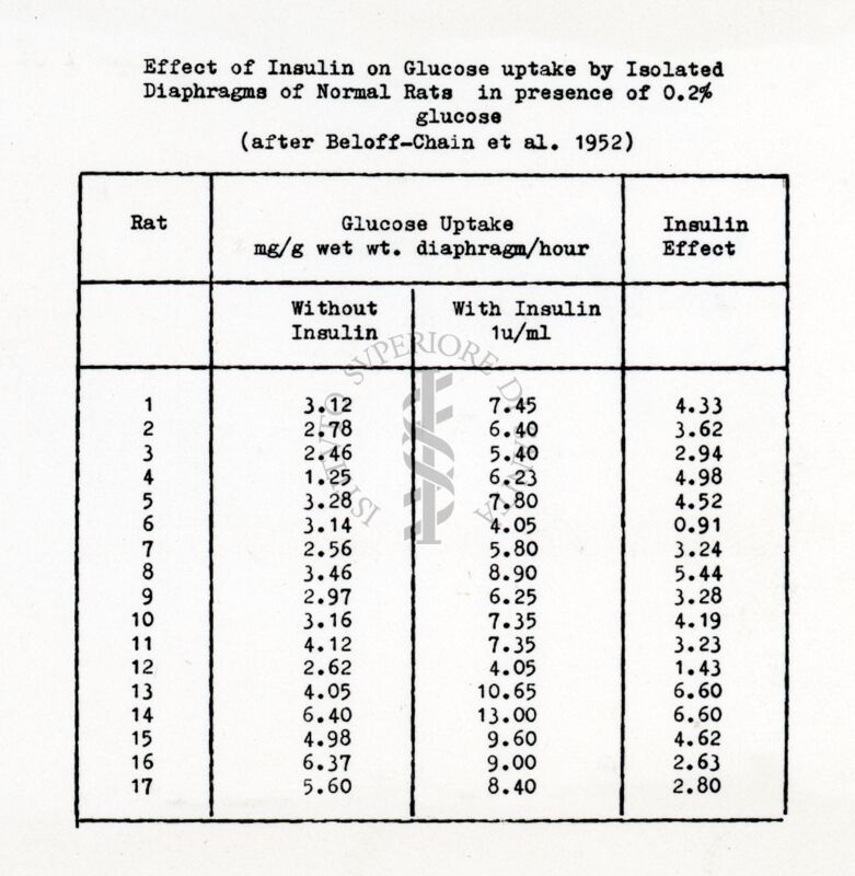 Influenza dell'insulina sul consumo di glucosio da pare di diaframmi isolati di ratti normali in presenza dello 0.2% di glucosio