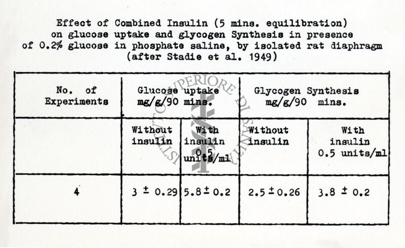 Effetto dell'insulina in vitro sul consumo di glucosio e la sintesi del glicogeno