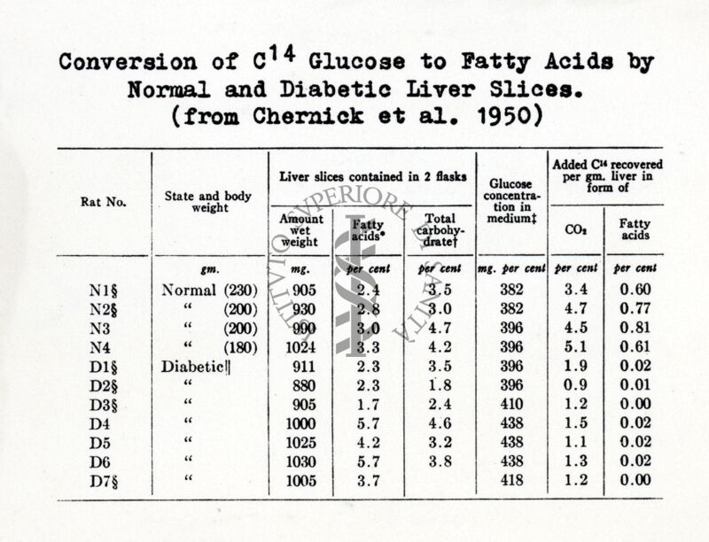 Trasformazione del glucosio C 14 in acidi grassi in fettina di fegato normale diabetico