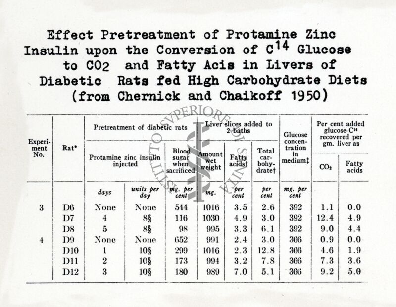 Effetto dell'insulina zinco protammina sulla trasformazione del glucosio C 14 in CO2 e acidi grassi nel fegato di ratti diabetici tenuti a dieta ricca di carboidrati