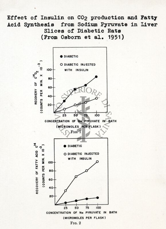 Influenza dell'insulina sulla produzione di CO2 e sulla sintesi degli acidi grassi a partire dal piruvato di sodio nel fegato di ratti diabetici