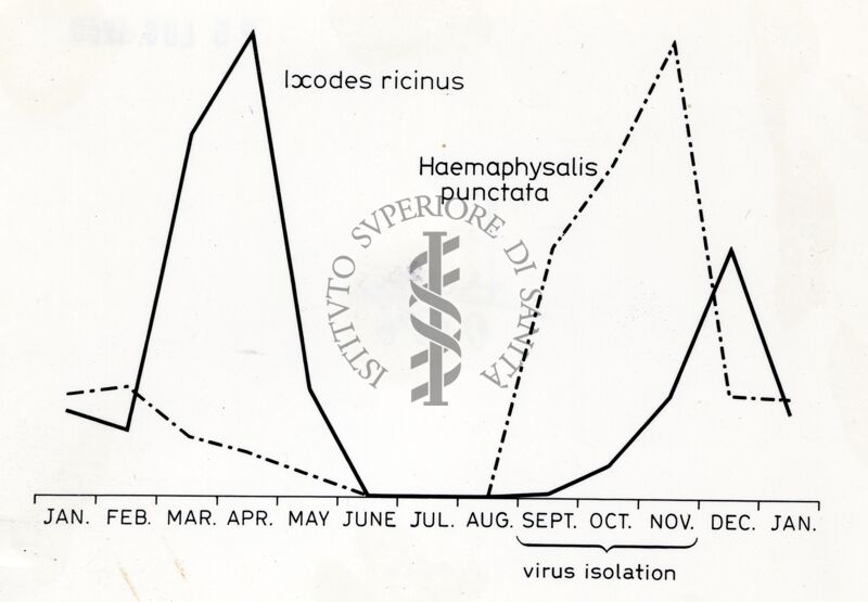 Grafico dei risultati di un esperimento sulla ricerca e isolamento di virus in esemplari di zecche appartenenti alle specie Ixodes ricinus e Haemaphysalis punctata; l'isolamento dei virus risulta effettuato tra settembre e novembre