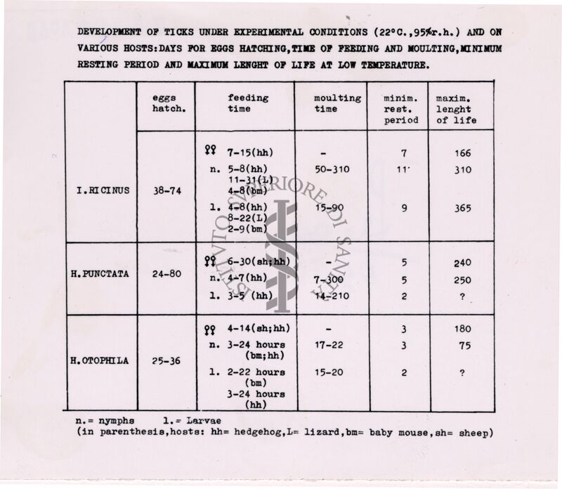 Tabella sui risultati di un esperimento di sviluppo di zecche Ixodes ricinus, Haemaphysalis punctata e H. otophila (H. parva) in condizioni sperimentali e su vari ospiti, per schiusa delle uova, tempo di alimentazione e muta, tempo minimo di riposo e massima durata di vita a bassa temperatura