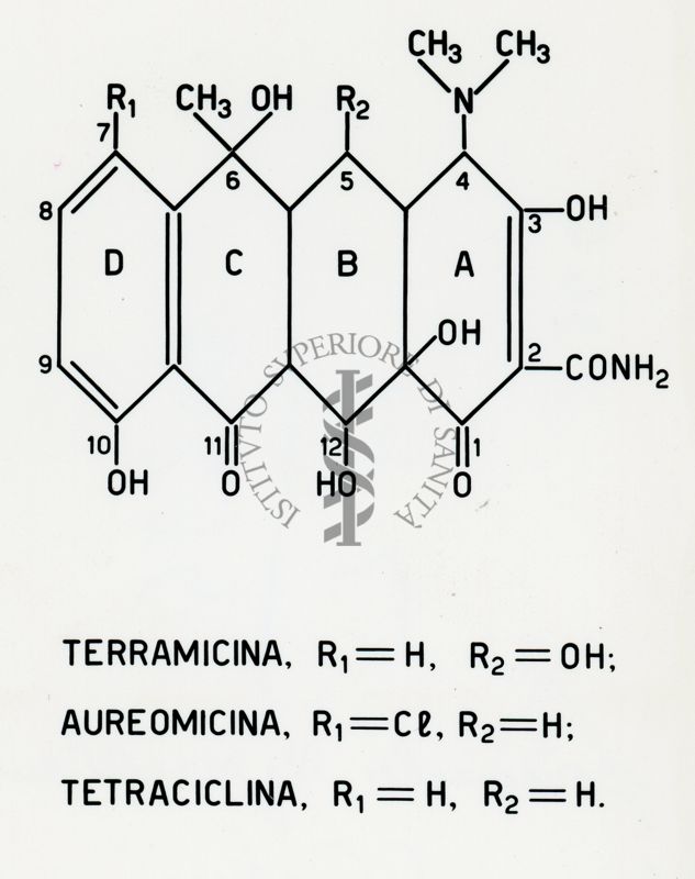 Formule riguardanti gli antibiotici