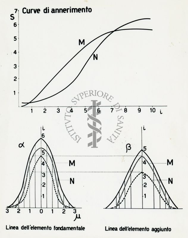 Curve di annerimento. Linea dell'elemento fondamentale e linea dell'elemento aggiunto