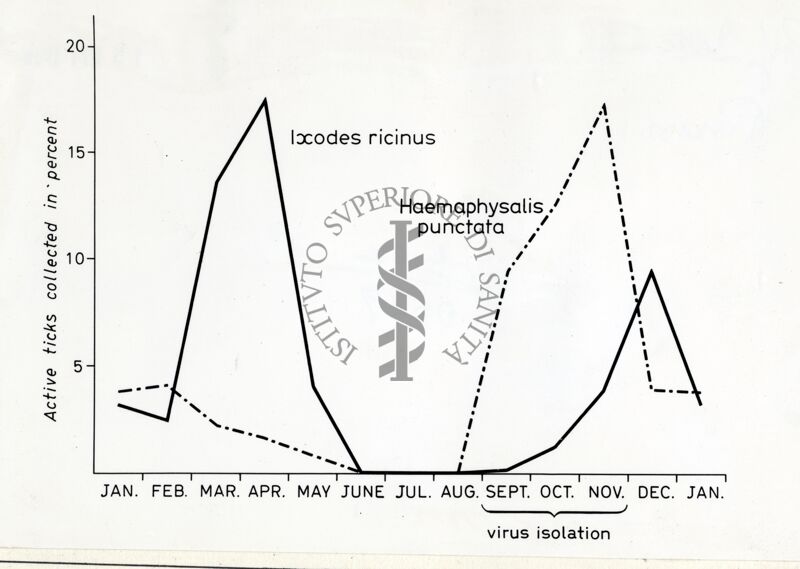 Tabella relativa ad andamento numerico percentuale delle zecche della specie Ixodes ricinus e Haemaphysalis punctata in un anno e isolamento virale da settembre a novembre.