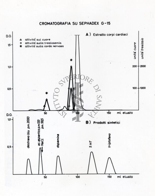 Grafici sulla conduzione del segnale elettrico: cromatografia di estratto di corpi cardiaci; studio sulla trasmissione nervosa