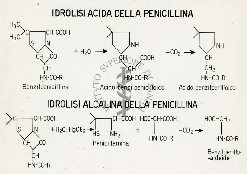 Caratteristiche chimiche e microbiologiche di Penicilline