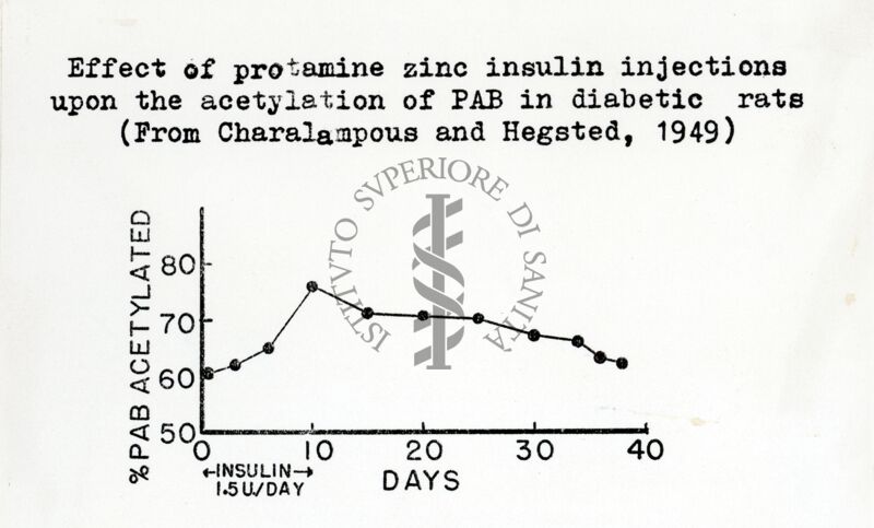 Effetto dell'insulina zinco protammina iniettata in ratti diabetici, sull'acetilazione del PAB