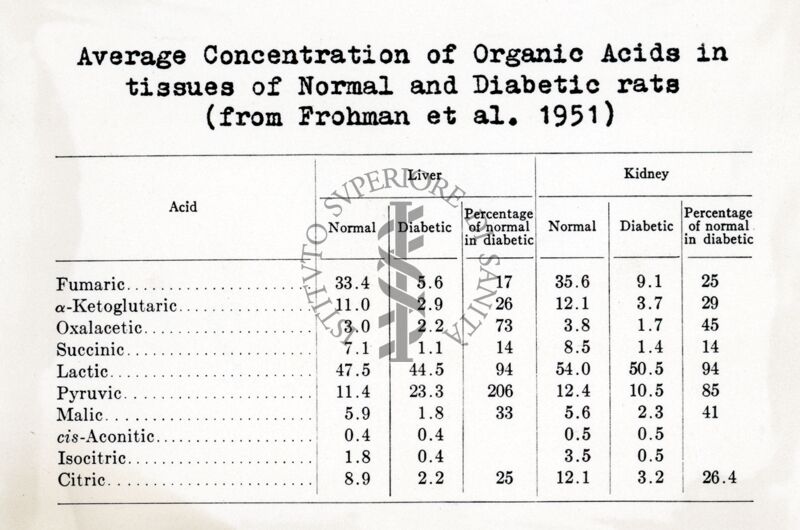 Concentrazione media degli acidi organici nei tessuti di ratti normali e diabetici