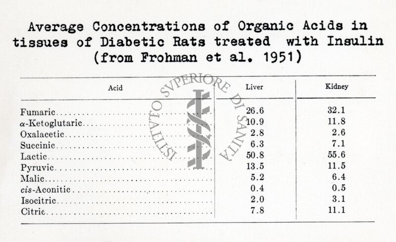 Concentrazione media degli acidi organici nei tessuti di ratti normali e diabetici con insulina