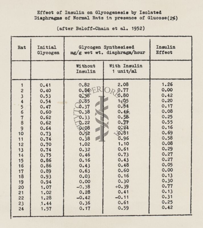 Influenza dell'insulina sulla glicogenesi nei diaframmi di ratti normali in presenza di glucosio (2%)