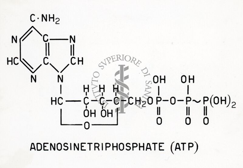 Formula dell'adenosintrifosfato