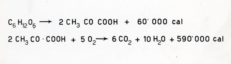 Reazione di combustione del glucosio