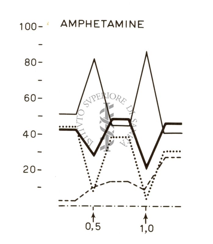 Grafico su cui è scritto: Amphetamine