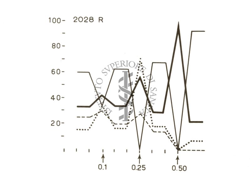 Grafico su cui è scritto: 2028 R