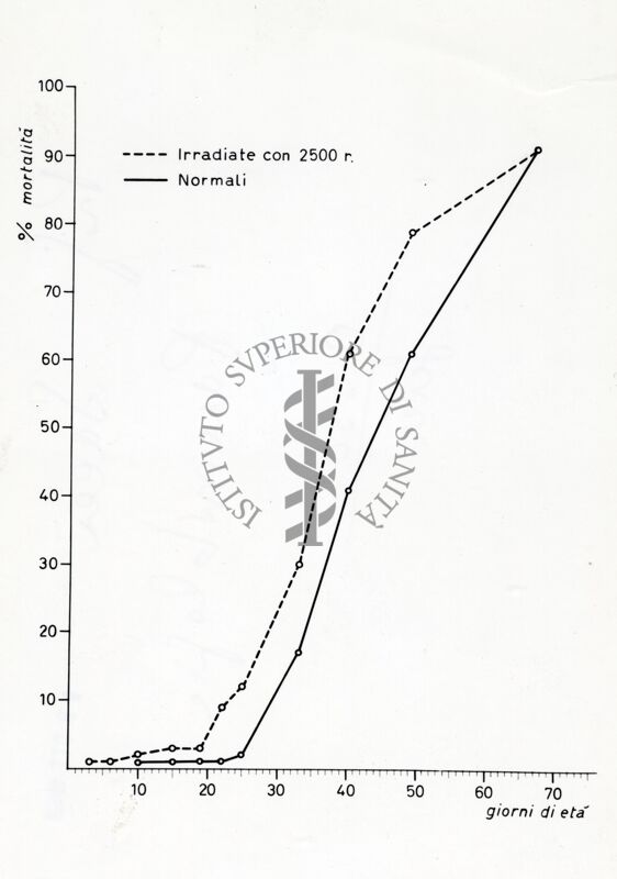 Grafico non determinabile