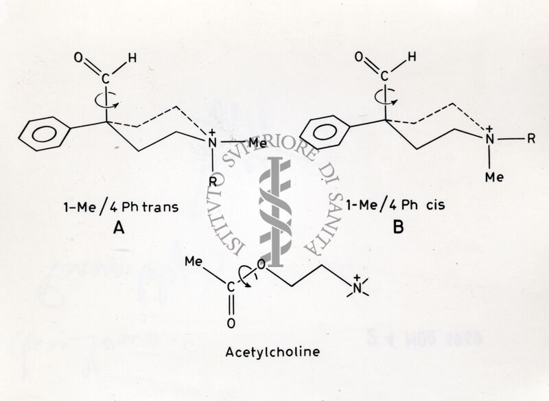 Formule di struttura dell'Acetilcolina