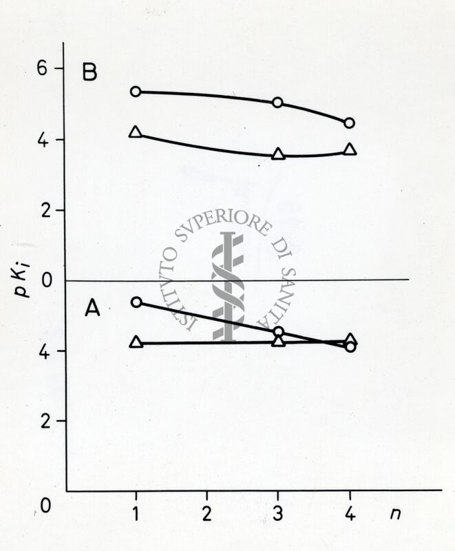 Grafico non determinabile