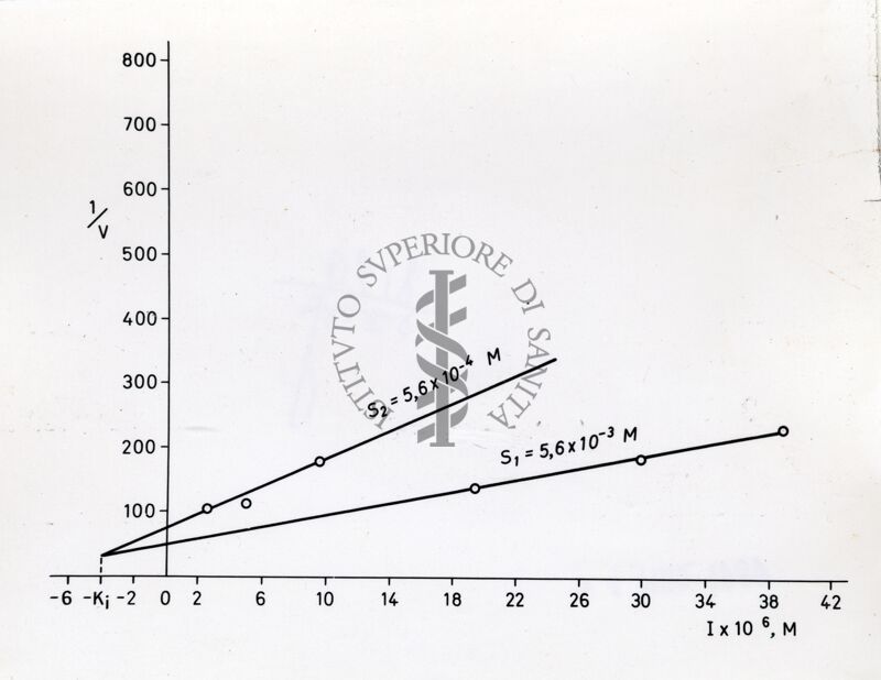 Grafico non determinabile