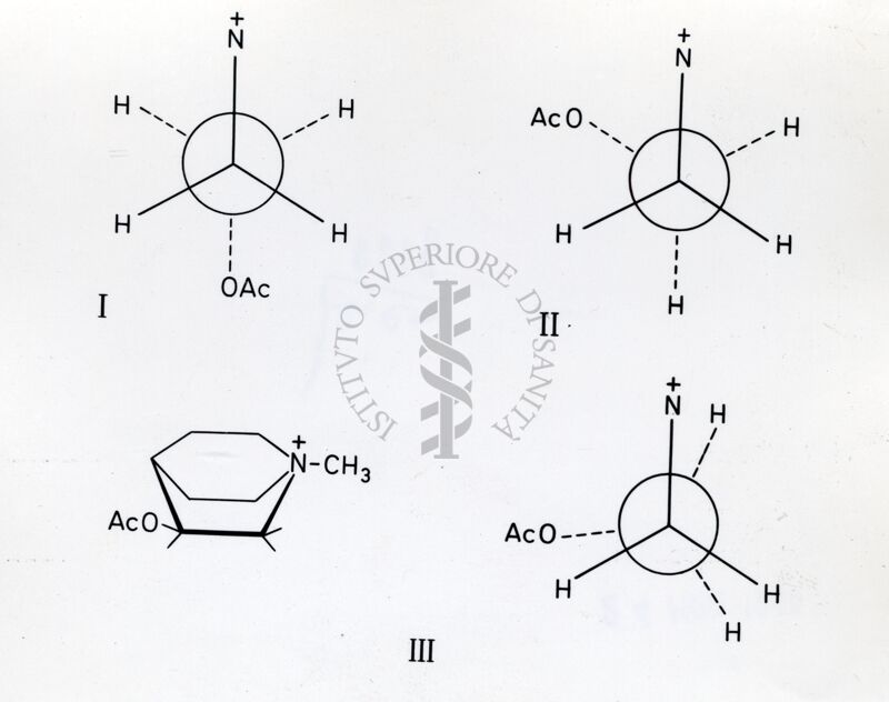 Formule di struttura dell'Acetilcolina, schemi della posizione degli atomi nelle molecole di Acetilcolina