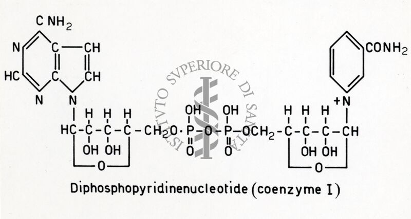 Formula del coenzima I