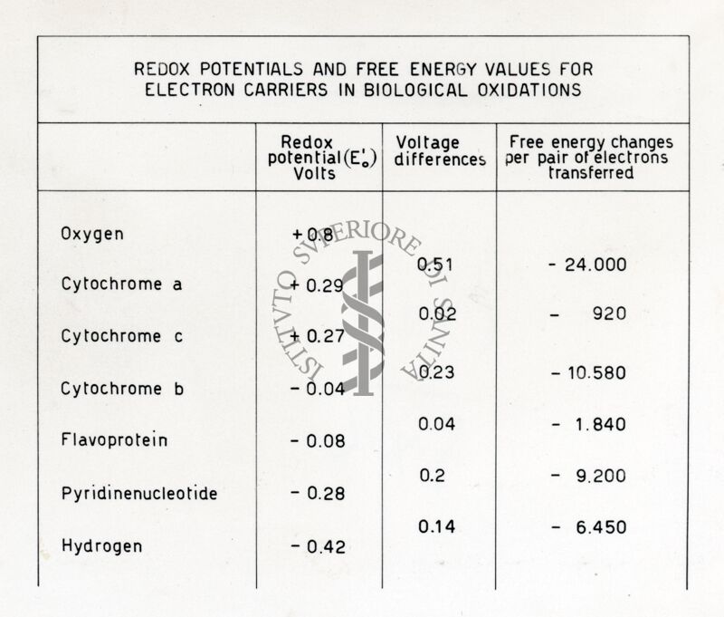 Potenziali redox e valori dell'energia libera per vari trasportatori di elettroni nelle ossidazioni biologiche