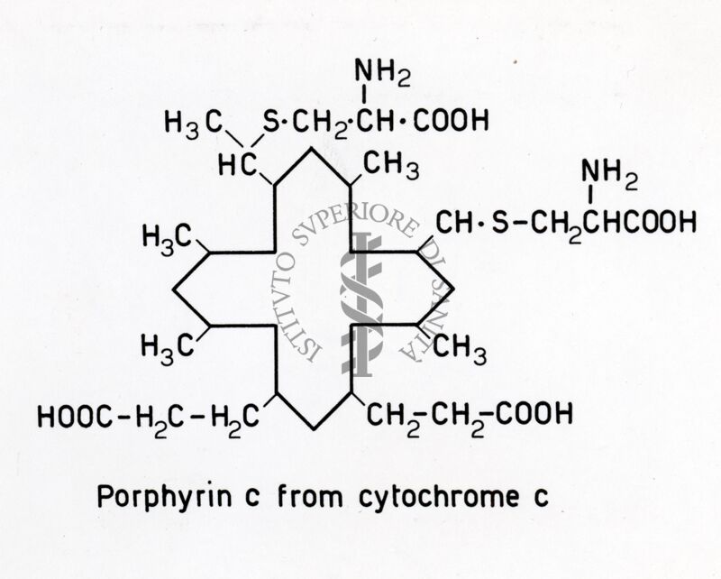 Porfirina C dal Citocromo C
