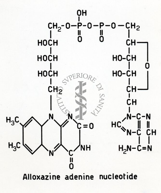 Formula dell'allosazinadeninnucleotide