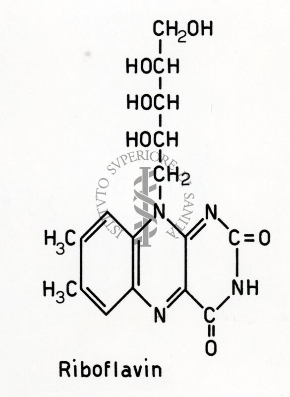 Formula della Riboflavina