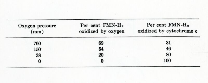 Formula del coenzima A.