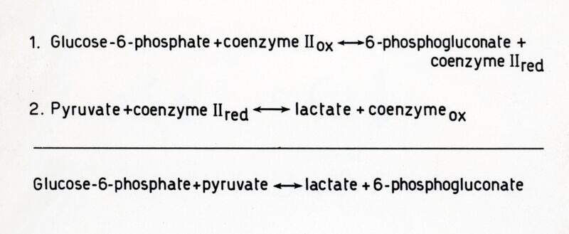 Ossidazione del glucosio -6-fosfato a 6 - fosfogluconato