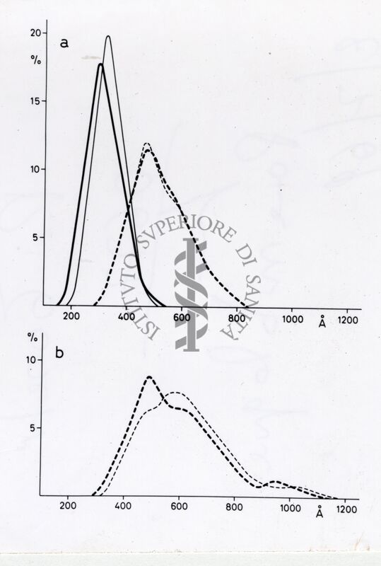 Grafico non determinabile