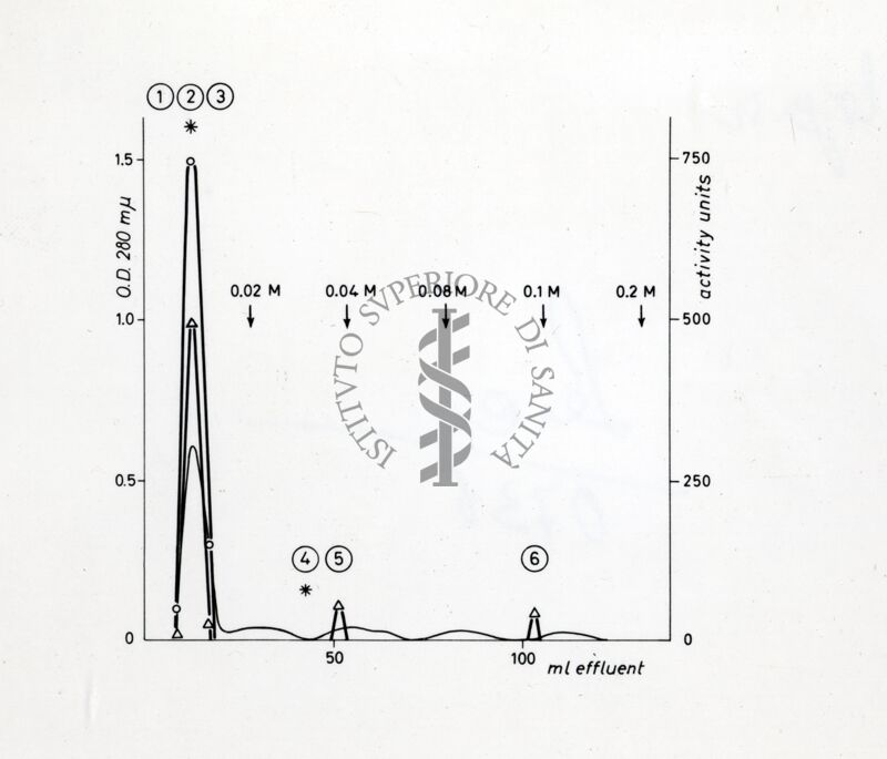 Grafico non determinabile