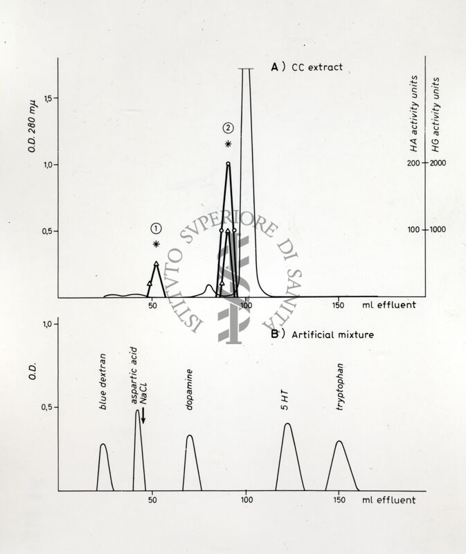 Grafico non determinabile