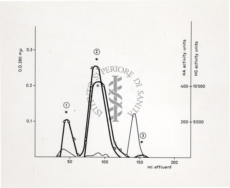 Grafico non determinabile