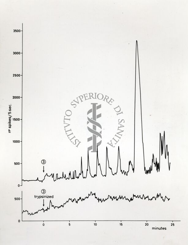 Grafico non determinabile