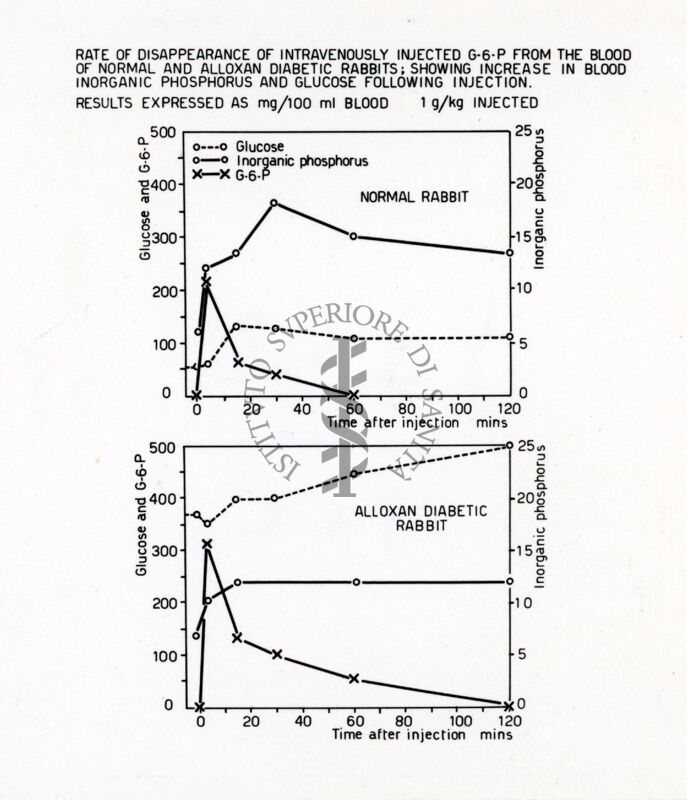Osservazioni sul metabolismo in vivo  e in vitro  di alcuni esoso-fosfati negli animali normali e diabetici per allossana
