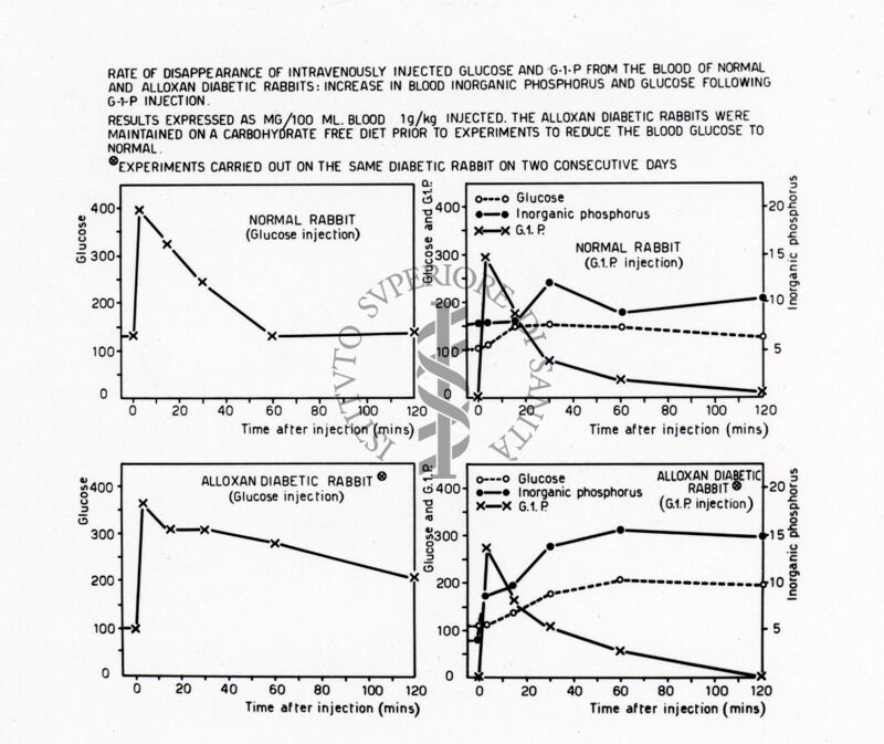 Osservazioni sul metabolismo in vivo e in vitro  di alcuni esoso-fosfati negli animali normali e diabetici per allossana