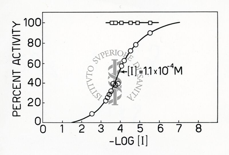 Lavoro sulla cinetica e sulle reazioni di equilibrio della deidrogenasi cristallina dell'acido glutammico