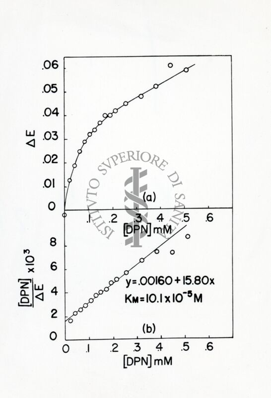 Lavoro sulla cinetica e sulle reazioni di equilibrio della deidrogenasi cristallina dell'acido glutammico